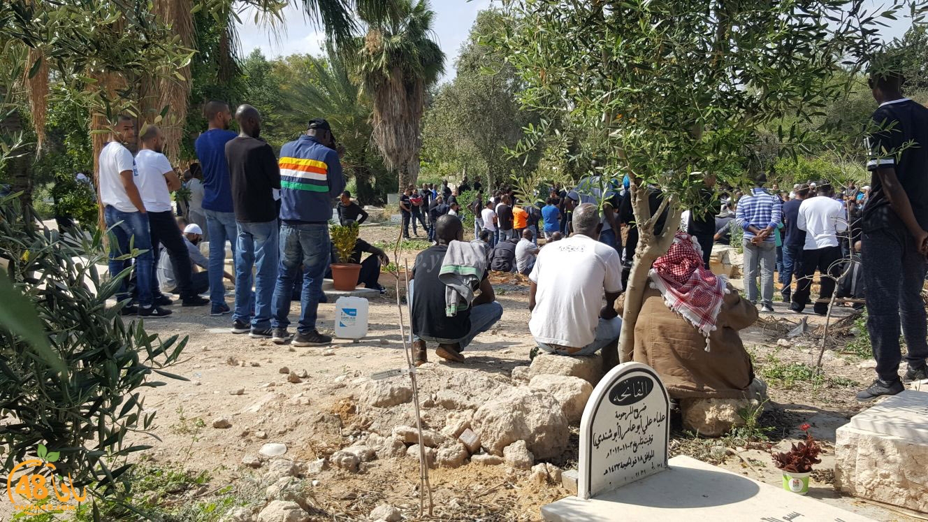 albeedjanaza (33).jpg